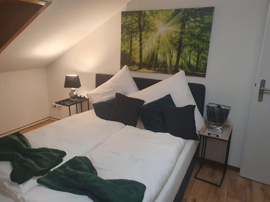 Waterfalls Apartment Triberg im Schwarzwald Exterior foto